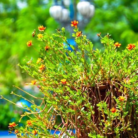 Haian Xian Homestay Huxi ภายนอก รูปภาพ