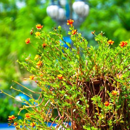Haian Xian Homestay Huxi ภายนอก รูปภาพ